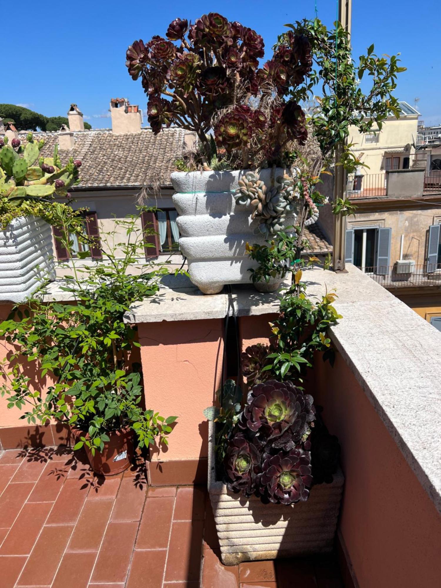 Spanish Steps Rome View Bagian luar foto