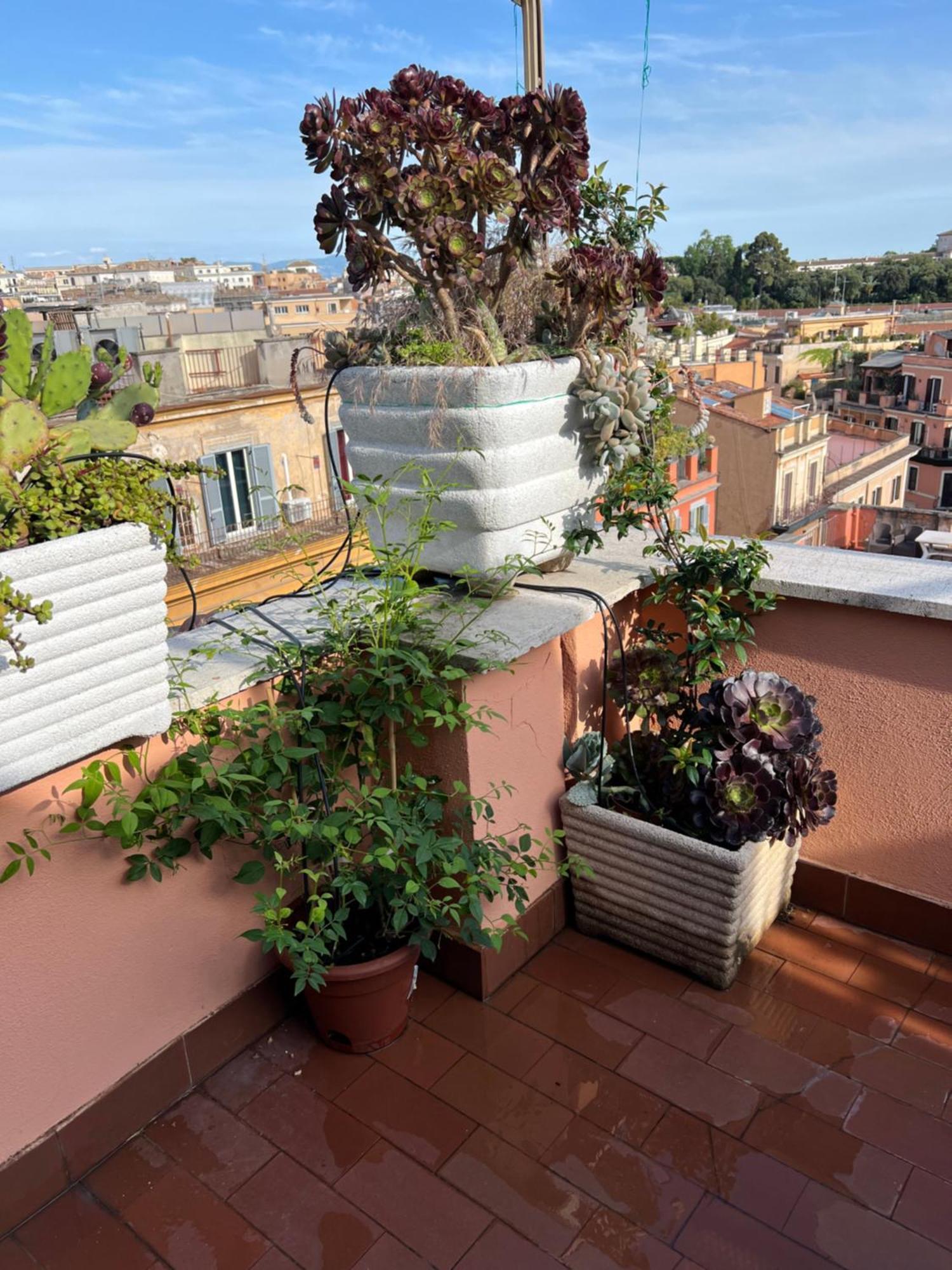 Spanish Steps Rome View Bagian luar foto